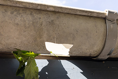 Garland Gutter Repair Near Me